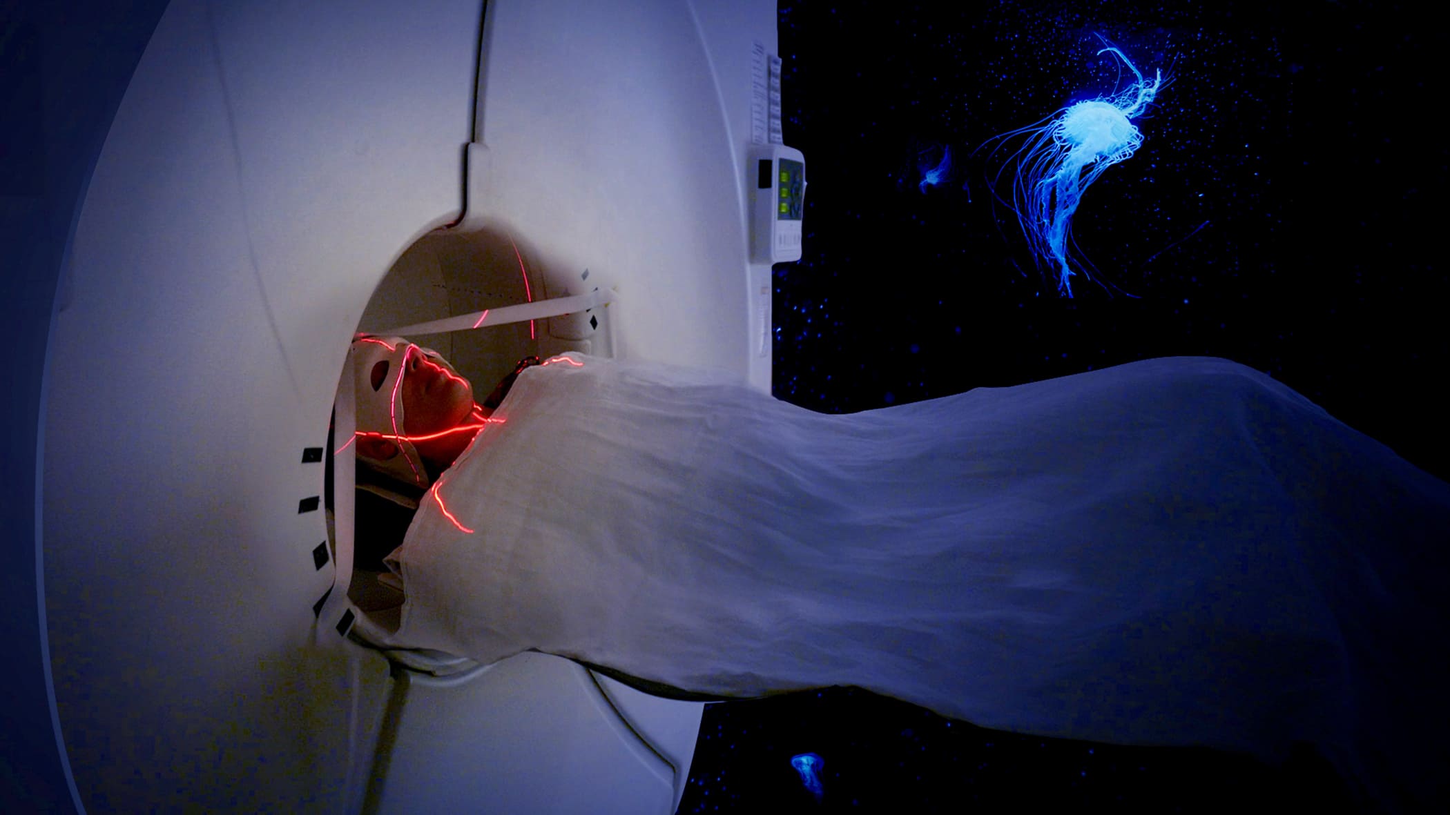 aware - -image-1_52120198505_o